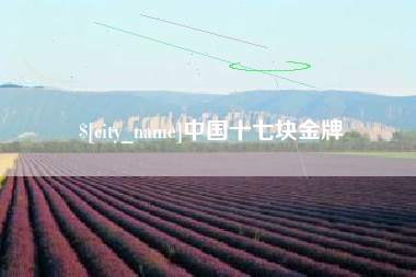 赵县中国十七块金牌