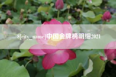 赵县中国金牌榜明细2021