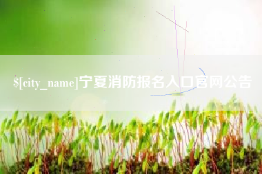 赵县宁夏消防报名入口官网公告
