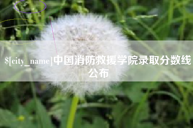 赵县中国消防救援学院录取分数线公布