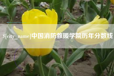 赵县中国消防救援学院历年分数线