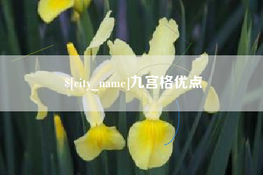 赵县九宫格优点