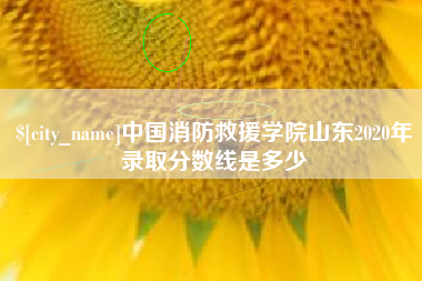 赵县中国消防救援学院山东2020年录取分数线是多少