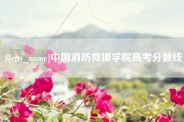 赵县中国消防救援学院高考分数线