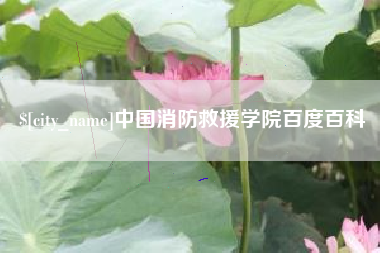 赵县中国消防救援学院百度百科