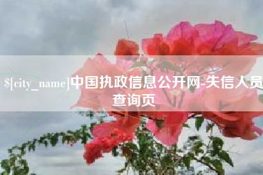 赵县中国执政信息公开网-失信人员查询页