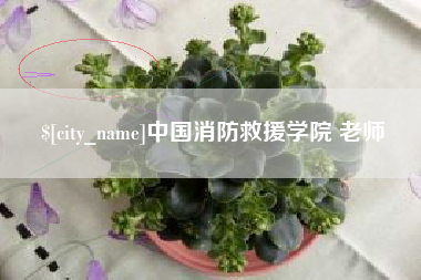 赵县中国消防救援学院 老师
