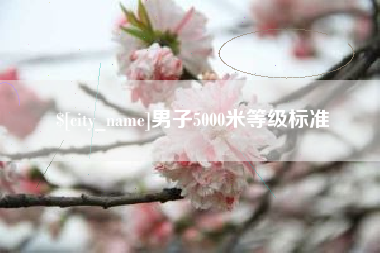 赵县男子5000米等级标准