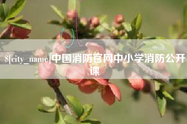 赵县中国消防官网中小学消防公开课