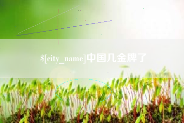赵县中国几金牌了