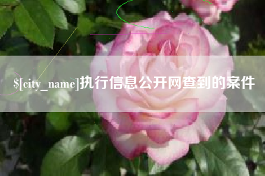 赵县执行信息公开网查到的案件