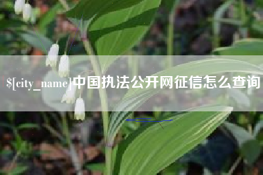 赵县中国执法公开网征信怎么查询