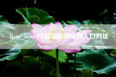 赵县中国消防网官网入口网址