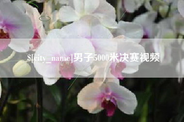 赵县男子5000米决赛视频