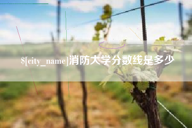 赵县消防大学分数线是多少