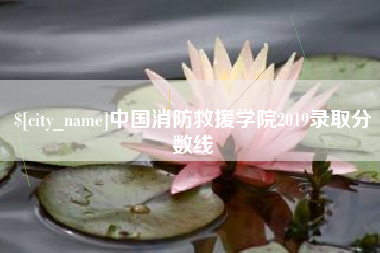 赵县中国消防救援学院2019录取分数线