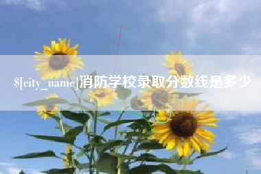 赵县消防学校录取分数线是多少