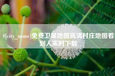 赵县免费卫星地图高清村庄地图看到人实时下载