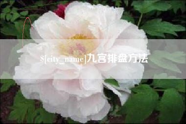 赵县九宫排盘方法