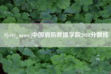 赵县中国消防救援学院2018分数线
