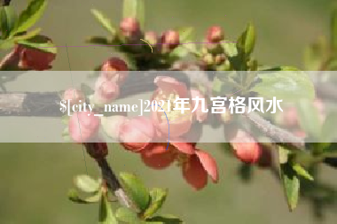 赵县2021年九宫格风水
