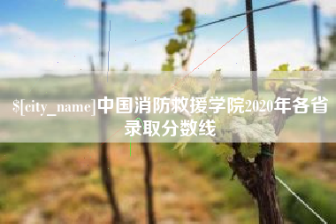 赵县中国消防救援学院2020年各省录取分数线