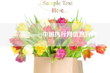 赵县中国执行网信息官网