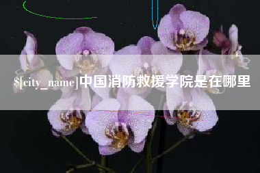 赵县中国消防救援学院是在哪里
