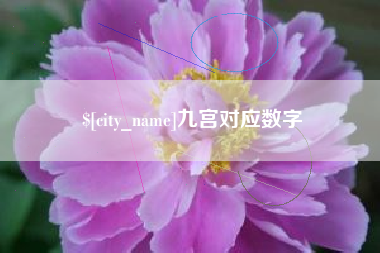 赵县九宫对应数字