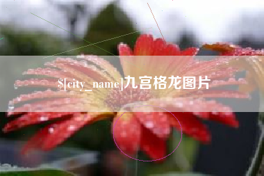赵县九宫格龙图片