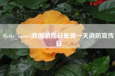 赵县我国消防日是哪一天消防宣传日