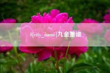 赵县九金是谁