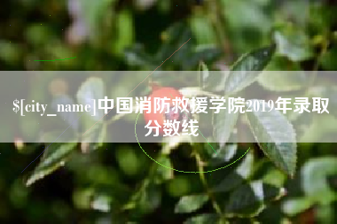 赵县中国消防救援学院2019年录取分数线