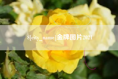 赵县金牌图片2021