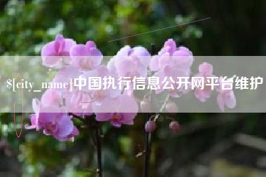 赵县中国执行信息公开网平台维护