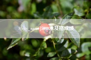 赵县5000米及格成绩