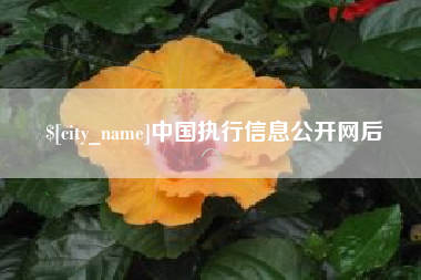 赵县中国执行信息公开网后