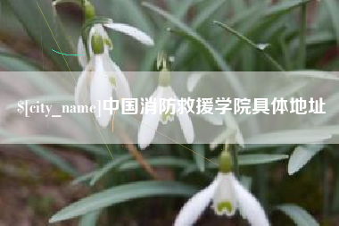 赵县中国消防救援学院具体地址