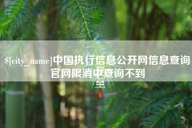 赵县中国执行信息公开网信息查询官网限消中查询不到