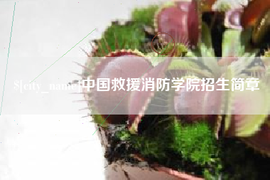 赵县中国救援消防学院招生简章