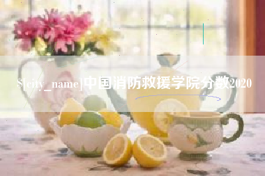 赵县中国消防救援学院分数2020