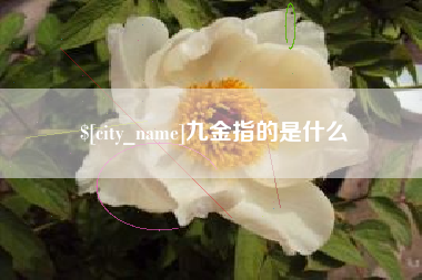 赵县九金指的是什么