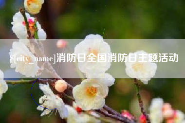 赵县消防日全国消防日主题活动