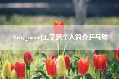赵县王子豪个人简介乒乓球