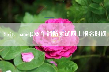 赵县2020年消防考试网上报名时间