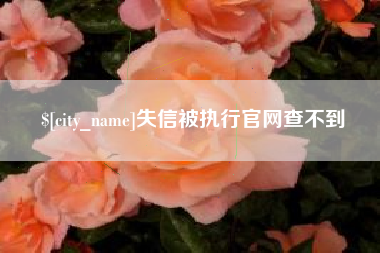 赵县失信被执行官网查不到