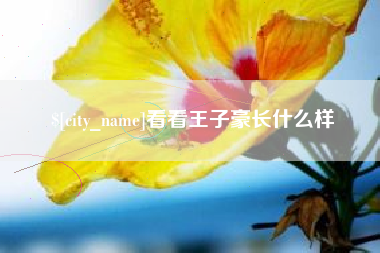 赵县看看王子豪长什么样