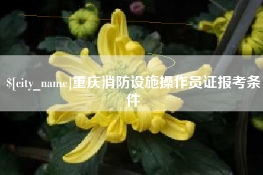 赵县重庆消防设施操作员证报考条件
