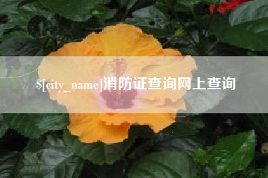 赵县消防证查询网上查询
