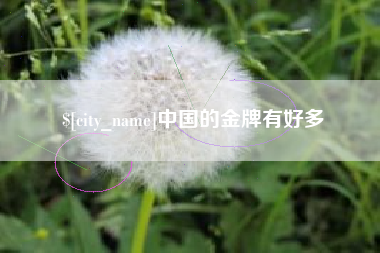 赵县中国的金牌有好多